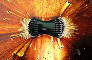 Физик Николь Юнгер Халперн заявила, что корреляции частиц могут служить топливом для переноса тепла