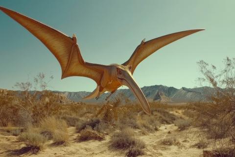 Новый вид птерозавра Bakiribu waridza обитал в раннем мелу Бразилии — Гиларди