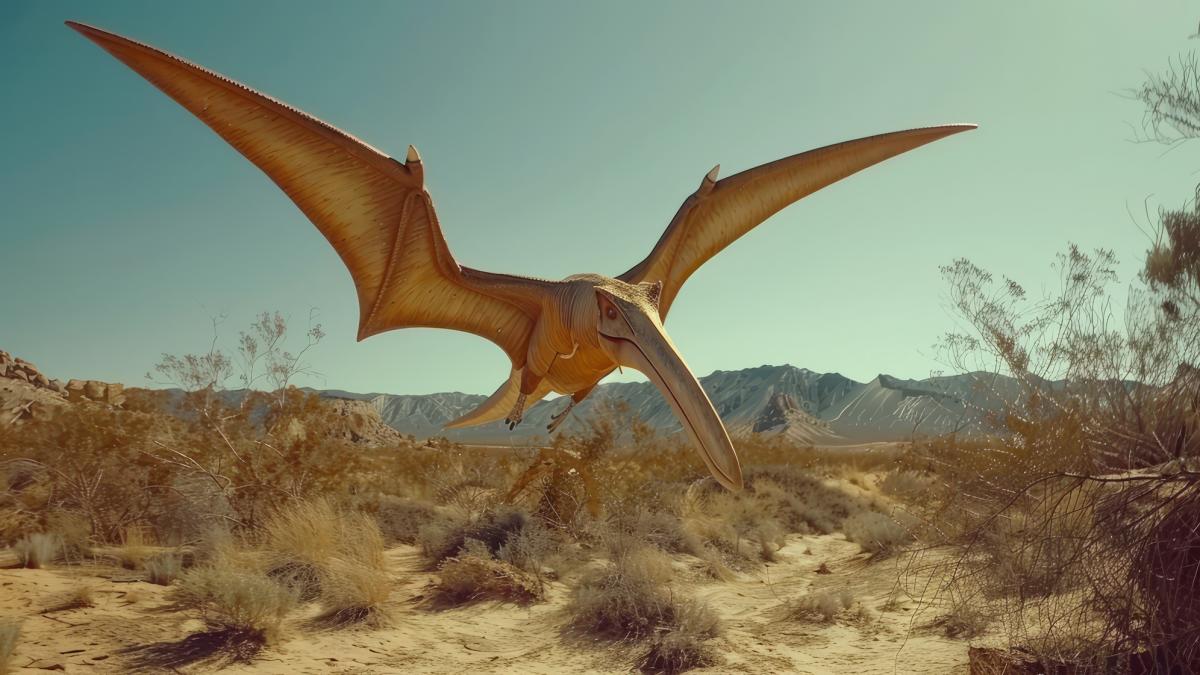 Птеродактил в природе