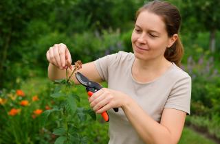 Избежал ошибок при разделе наследства: советы по оформлению земли и дома