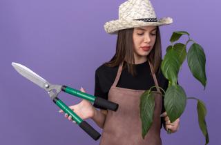 Агрономы предлагают заменять садовые ножницы лопперами при работе с древесиной