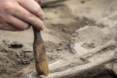 Позолоченную бронзовую статуэтку подготовили к исследованию в Тронхейме — археолог Аарон Джонстон