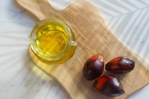 Рисков для здоровья детей от пальмового масла нет — ESPGHAN