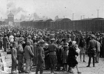 Рапорт акушерки из Освенцима