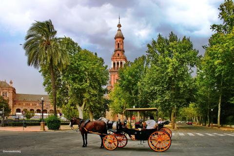 Прогулка по Севилье: от Хиральды до квартала Санта-Крус