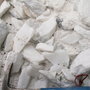 IARC при ВОЗ классифицировало тальк как вероятно канцерогенное для человека вещество IARC при ВОЗ классифицировало тальк как вероятно канцерогенное для человека вещество