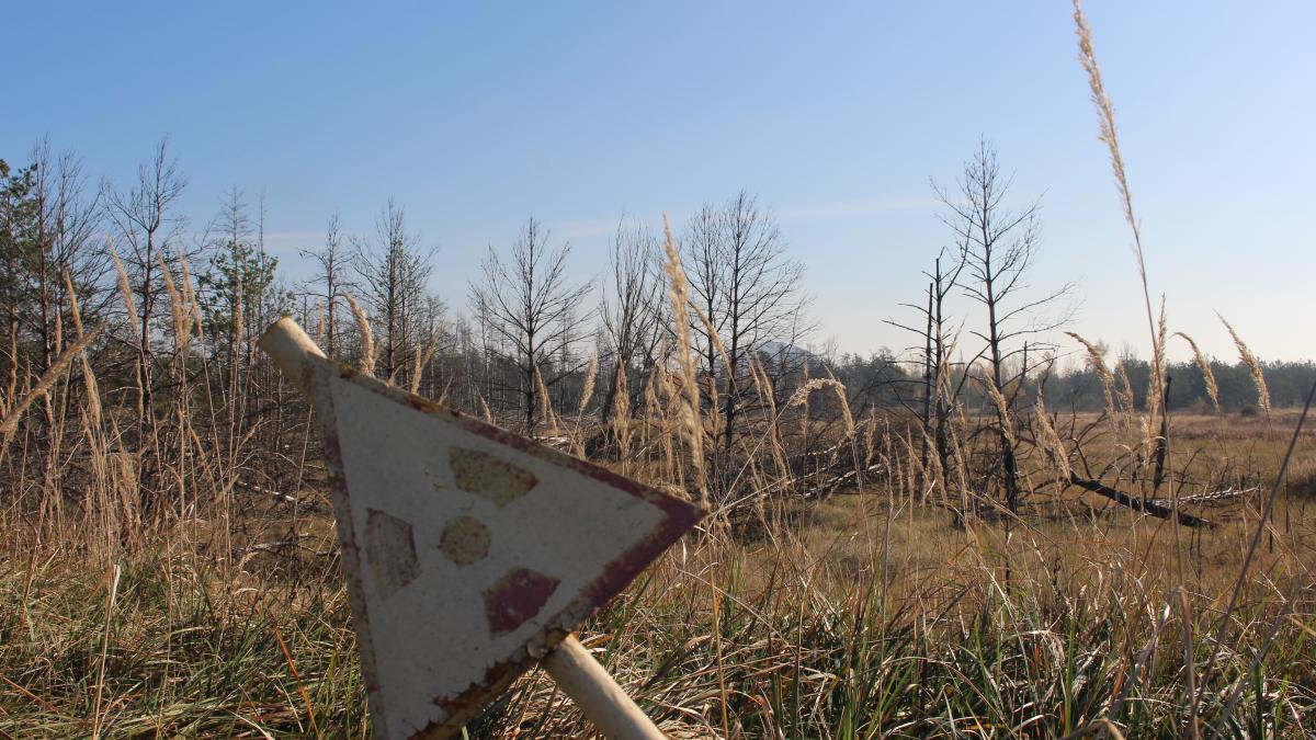 Знак предупреждения о радиации в Чернобыльской зоне отчуждения, Украина