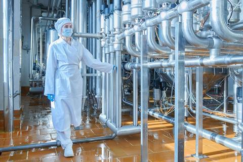 На Кубани внедряют плазменную сушку продуктов — кандидат наук Шорсткий