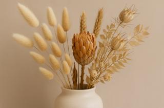 Сухие растения ухудшают восприятие пространства — эксперты по дизайну