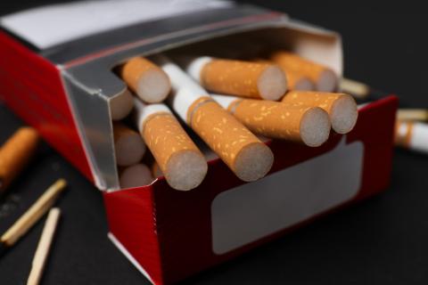 Учёные из Италии и Испании нашли способ переработки сигаретных фильтров для улучшения асфальта