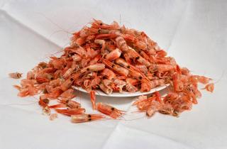 Двух жителей Сакского района задержали за браконьерство — прокуратура