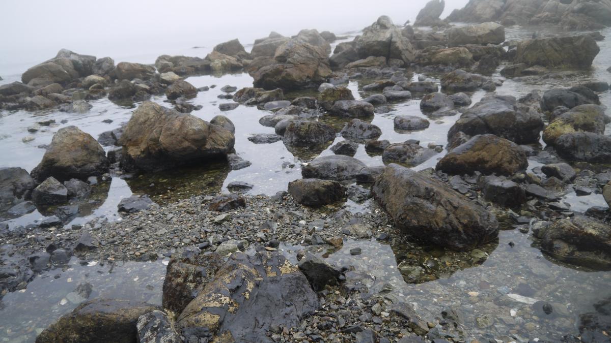 Нефть на камнях - panoramio