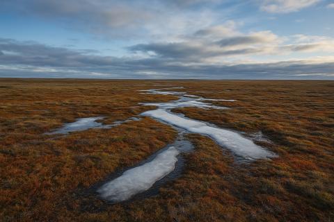 Ямал снова возглавил 