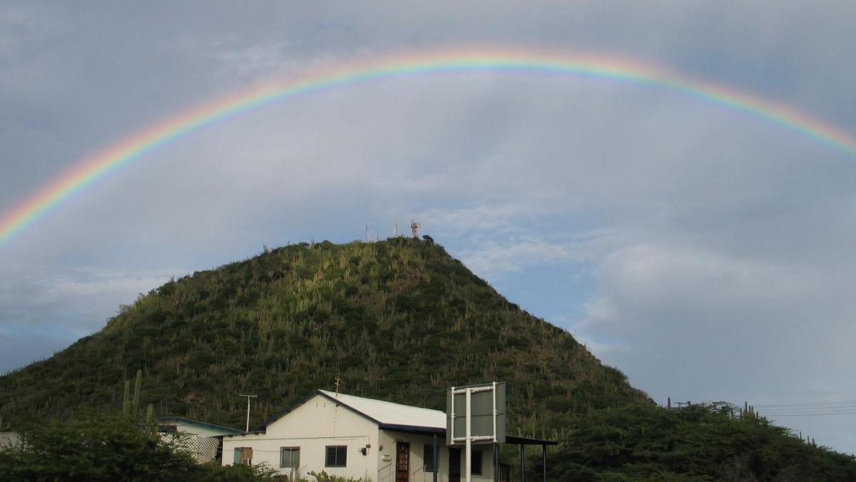 Ойберг Ойберг