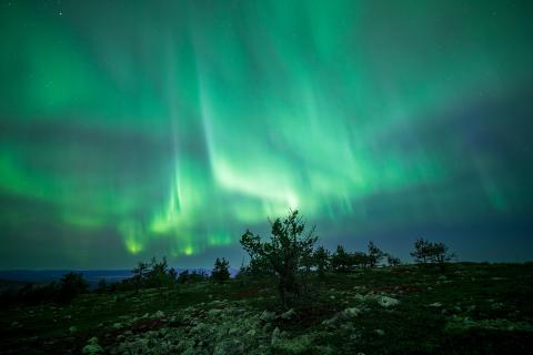 Крис Бруннинг заявил, что зимняя Лапландия — место для волшебства и северного сияния Крис Бруннинг заявил, что зимняя Лапландия — место для волшебства и северного сияния