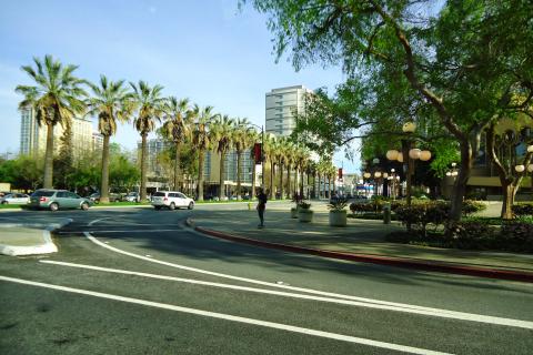 Форт-Брэгг: прогулки по исторической главной улице среди секвой и океана — TravelBag