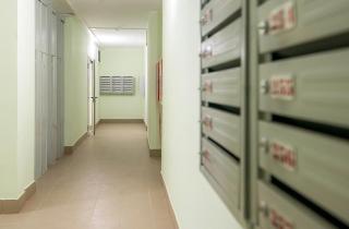 В Госдуме предложили размещать в подъездах новых домов картины