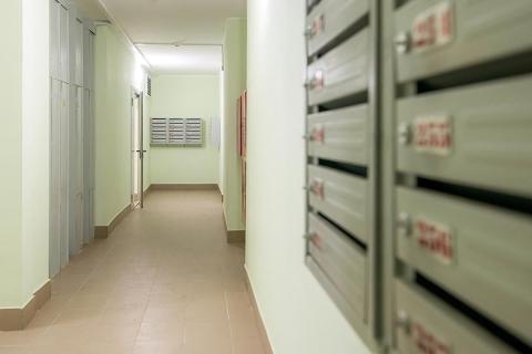 В Госдуме предложили размещать в подъездах новых домов картины