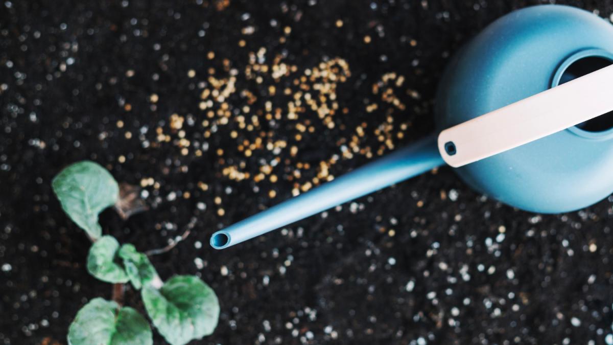 внесение удобрений