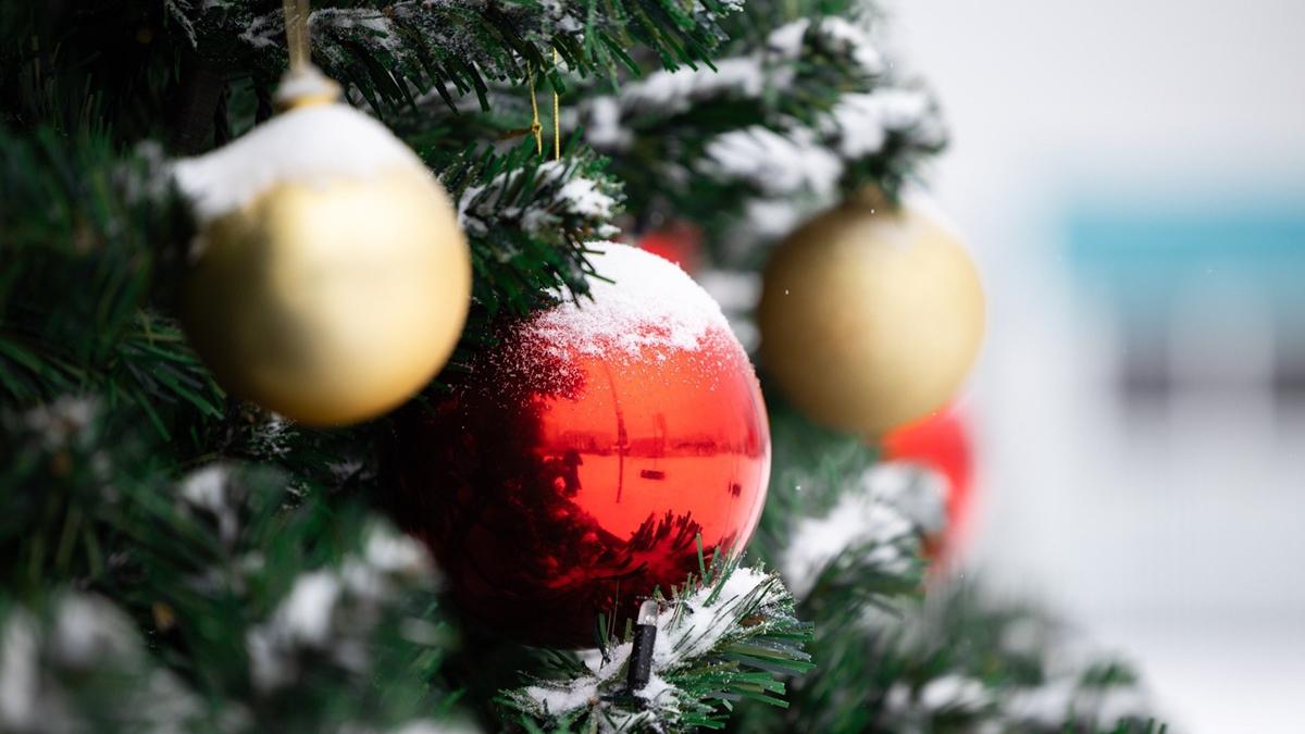 Новогодняя ель в городе Владивостоке