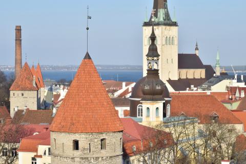 Очередь на границе с Эстонией достигла девяти часов — РБК