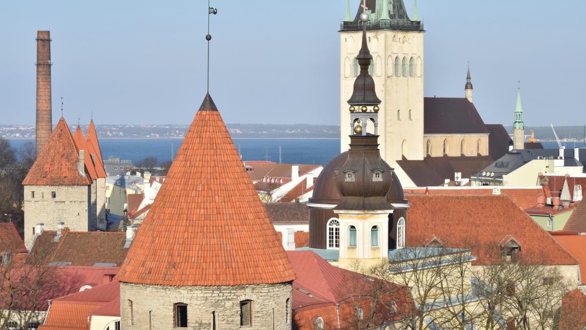 Смотровая площадка Паткули