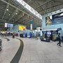 Юрист Хаминский: ужесточение правил досмотра в аэропортах — необходимая мера Юрист Хаминский: ужесточение правил досмотра в аэропортах — необходимая мера