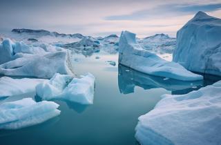 Хищную губку обнаружили на глубине 3600 метров — Ocean Census