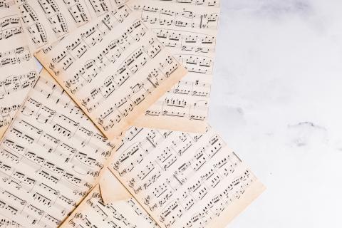 Музыканты имеют преимущество в пространственной памяти — PPS