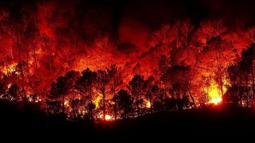 На Камчатке продолжаются пожары из-за сильной жары