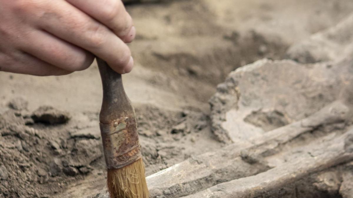 Раскопки Раскопки