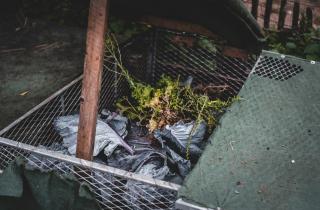 Компостная куча теряет пользу из-за мяса и жира в отходах — БЕЛНОВОСТИ