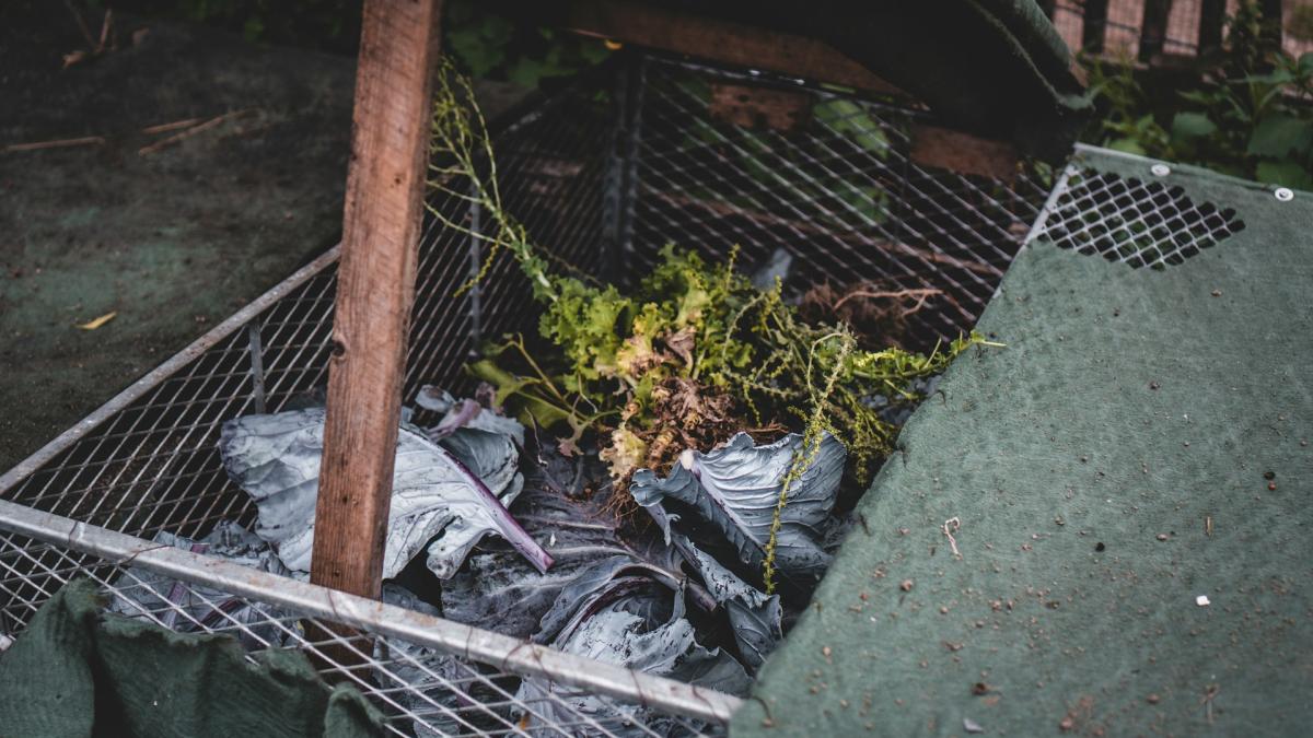 Укладка органики (травы) в компостную яму