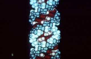 РНК могла появиться на ранней Земле благодаря химическим реакциям — PNAS