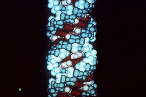 РНК могла появиться на ранней Земле благодаря химическим реакциям — PNAS