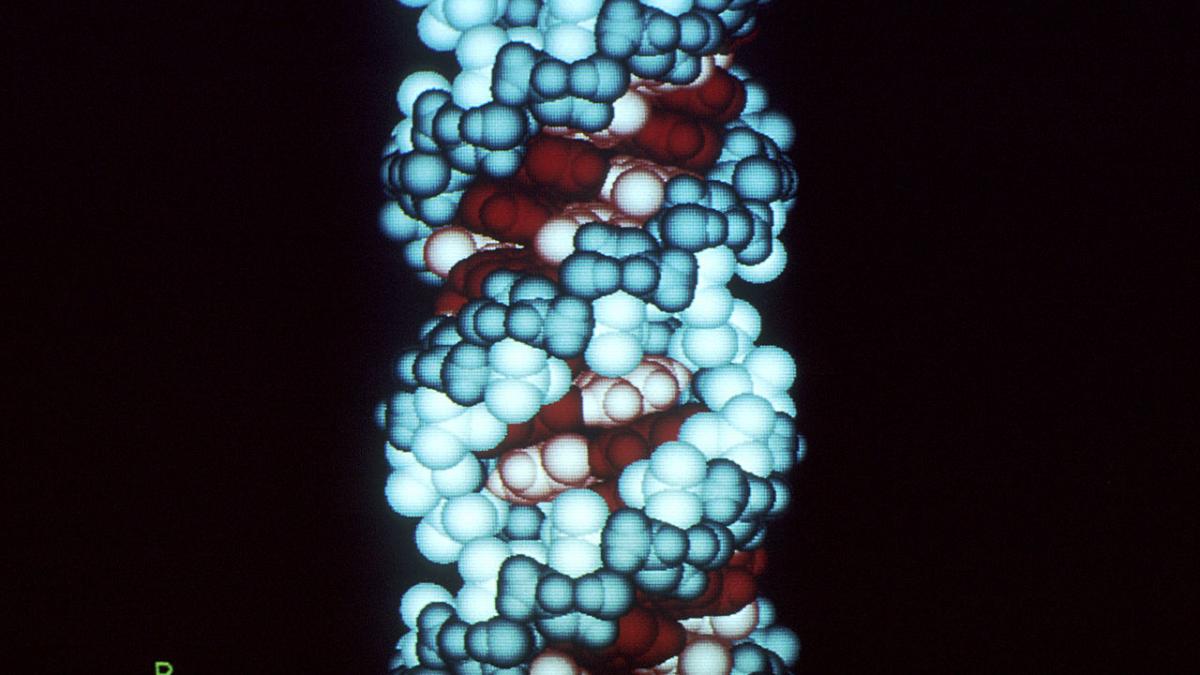 Нобелевская премия 2024 по медицине: ключ к клеточному разнообразию