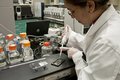 Массовое отравление ботулизмом связано с употреблением фасоли Массовое отравление ботулизмом связано с употреблением фасоли