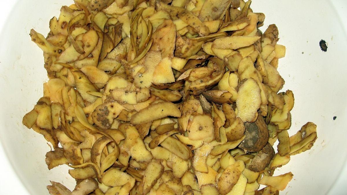 Картофельные очистки