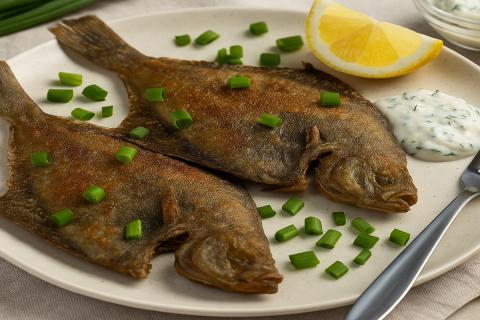 Блюдо из минтая с молочным соусом и сыром: рецепт для духовки