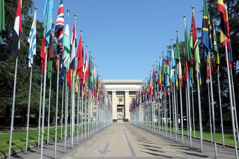 Рафаэль Гросси заявляет о кризисе роли ООН в конфликтах — El País