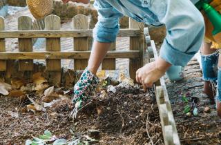 Бумажные стаканчики защитили молодые саженцы от ветра