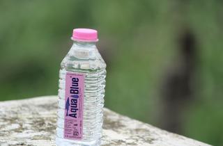 Пятилитровые бутылки заменяют систему капельного полива на даче — садоводы