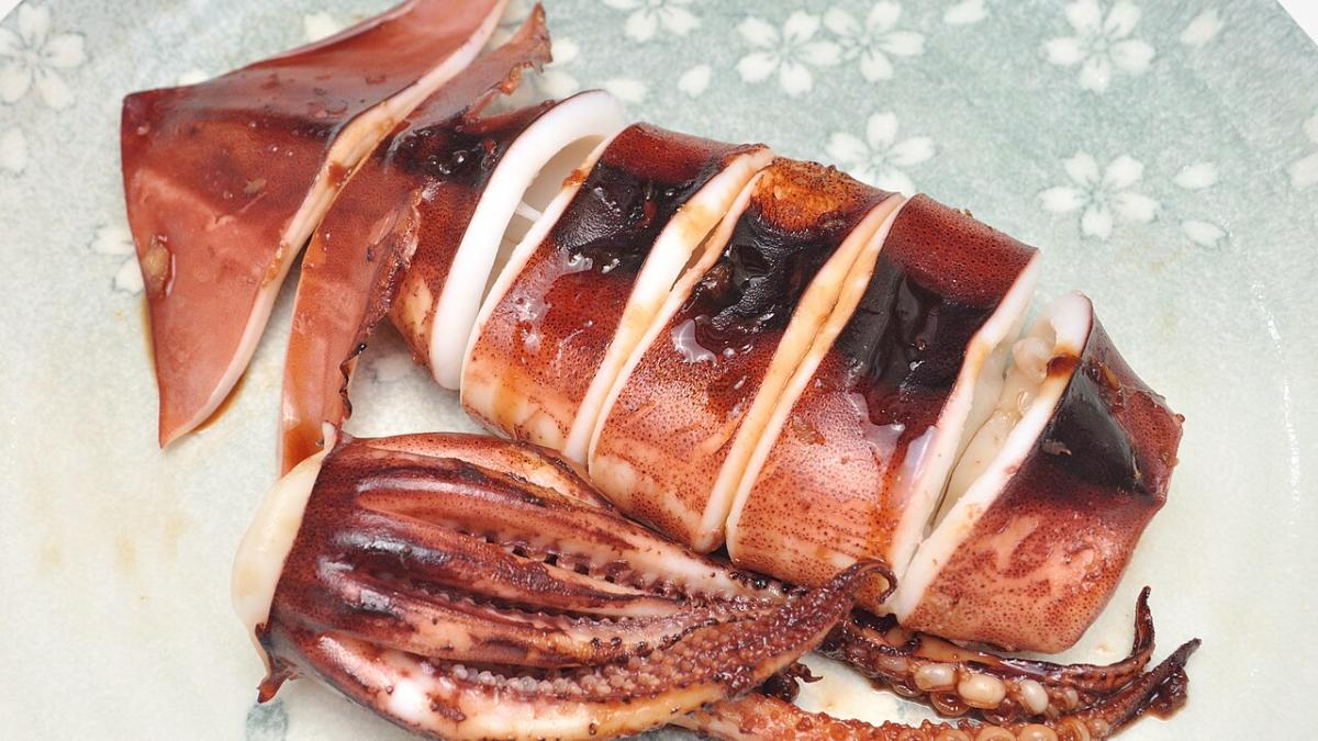 кальмар кальмар