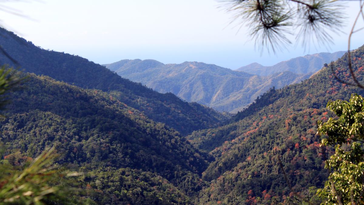 Национальный парк Туркино