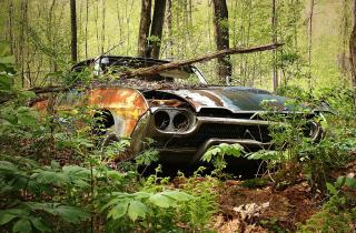 Депутаты разработали механизм определения автохлама на федеральном уровне — Госдума