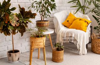 Пенопластовый дренаж улучшает воздухообмен в горшках по данным агрономов