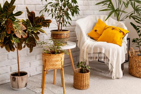 Пенопластовый дренаж улучшает воздухообмен в горшках по данным агрономов