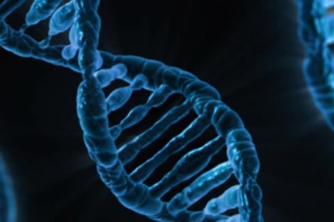 На северо-востоке Китая найдены останки земноводных возрастом 1000 лет