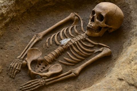 Сато: смешение Дзёмон и камчатцев произошло 2250 лет назад на острове Ребун