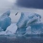 Участники экспедиции АПУ исследуют антиоксидантные свойства растений Земли Франца-Иосифа Участники экспедиции АПУ исследуют антиоксидантные свойства растений Земли Франца-Иосифа